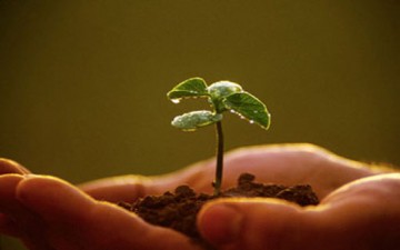 الدور التربوي لوسائل الإعلام.. إيجاداً.. وتعميقاً